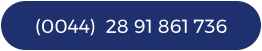 (0044)  28 91 861 736