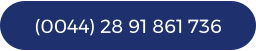 (0044) 28 91 861 736