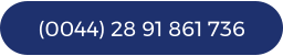 (0044) 28 91 861 736